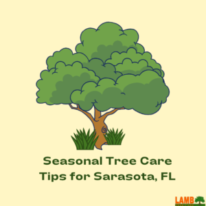 certified arborist sarasota fl