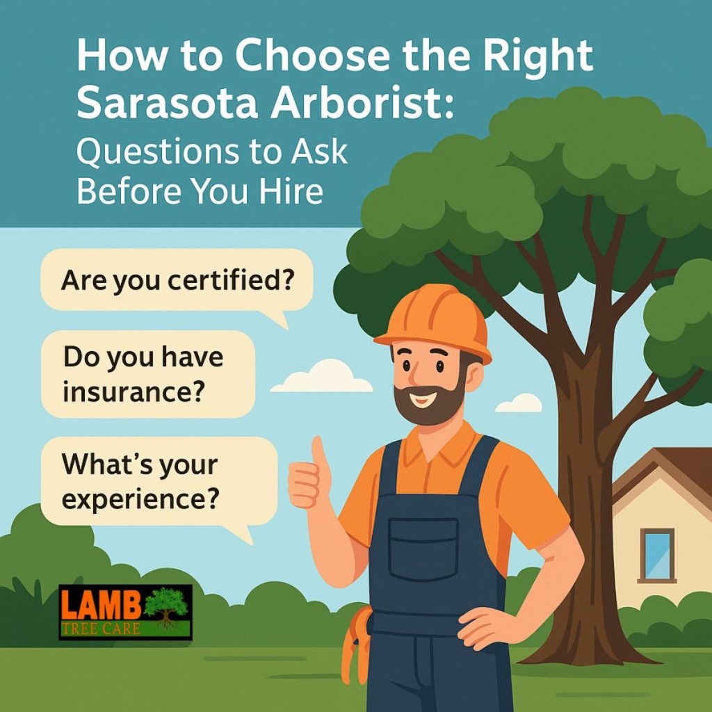 Sarasota arborists Sarasota arborists