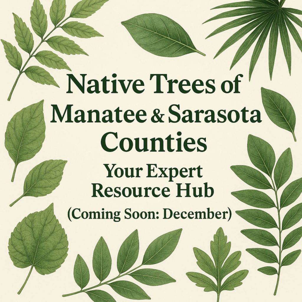 tree care sarasota fl tree care sarasota fl